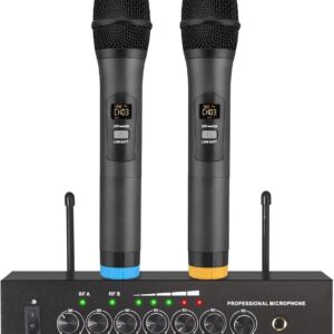 Professional Wireless Microphone